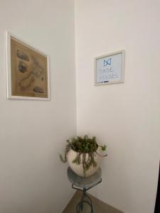 una planta sentada en un taburete junto a dos fotos en DADE Houses, en Bagheria