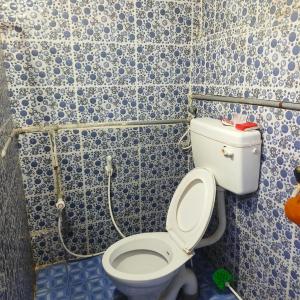 a bathroom with a toilet with blue and white tiles at Wild woods in Vālpārai