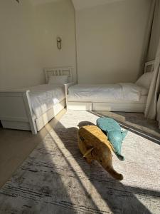 a bedroom with two beds and a stuffed animal on the floor at The Vendome view luxury apartment in Lusail +12 photos