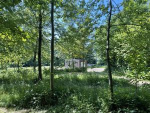 Zahrada ubytování Time-Out Cabin