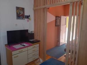 D,apartman' ulica pušća 51, 51513 Omišalj的电视和/或娱乐中心