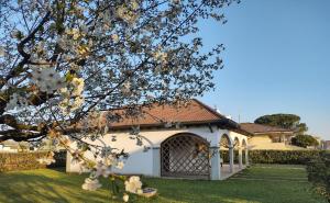 Vonkajšia záhrada v ubytovaní Villa-Giardino "Le None"