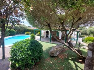 Hồ bơi trong/gần Villa Rosa