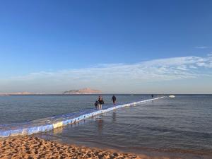 Fotografie z fotogalerie ubytování Cosy Studio on the First Floor with lovely Terrace and Personal Garden Area, Pool View and Free Beach Access in Sharm Hills Resort v destinaci Sharm El Sheikh