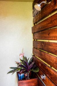 Gambar di galeri bagi Piton View Apartment With Jeep Rental - GREAT COMBO DEAL- Explore St Lucia di Soufrière