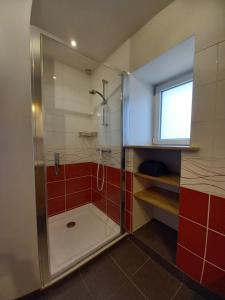 a bathroom with a shower with red tiles at Gîte, Maison de campagne in Maizières +5 photos