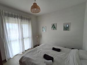 Lahavot HaBashanליד המעיין的一间卧室配有一张带两个黑色枕头的床