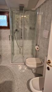 a bathroom with a shower and a toilet and a sink at Casina gialla in Fabbricaccia