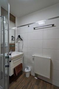 a bathroom with a sink and a toilet and a shower at Traumhaftes Appartement mit Terrasse - Odins Blick Wohnung 10 - am Privatstrand in Lobbe +29 photos