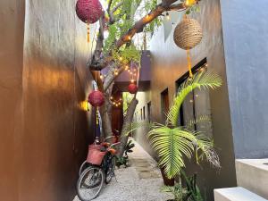 a bike parked next to a building with a tree at Downtown Tulum Cozy 1bd Apartment in Tulum