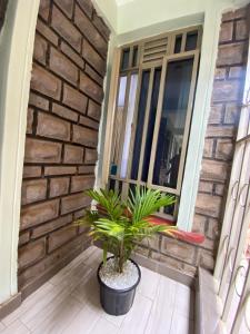 a potted plant sitting on the front porch of a house at Amazing apartment in Milimani Kisumu-Kabs in Kisumu