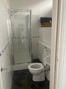 ein Badezimmer mit Dusche, Toilette und Waschbecken in der Unterkunft The keyberry in Newton Abbot