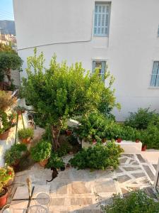 a garden with trees and plants in front of a building at LILIA in Poros