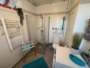 HögsbyにあるStationskontorのシャワーとトイレ付きのバスルーム +35枚の写真
