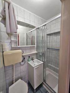Koupelna v ubytování Guesthouse Deželjin