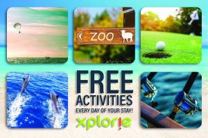 a collage of pictures with a dolphin in the water at Beach Club C-509 in Gulf Shores +42 photos