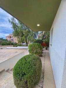 Zahrada ubytování Beautiful house near Venus beach