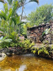a stone wall next to a pond in a garden at Pousada Recanto da Chapada in Mucugê