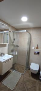 Un baño con ducha, inodoro y lavabo. en Planinski Biser - Spa & Lux Apartment, en Zlatibor