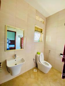 KyegegwaにあるKamu-Eco Safari Resortの洗面台、トイレ、鏡のあるバスルーム