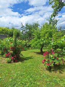 a row of bushes with pink flowers and trees at UBYTKO POLEŠOVICE in Polešovice