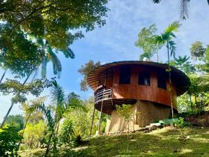 Zahrada ubytování Paradiselodge Jungleguesthouse