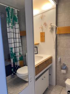 安塞热Studio chaleureux, confortable, avec vue sur les Alpes 2- 3 pers的带马桶和水槽的浴室