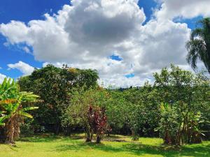 a group of trees and grass with a cloudy sky at Sítio Pand'Oro in Atibaia