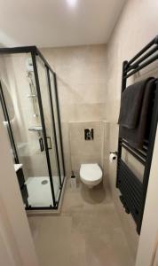 ein Badezimmer mit Toilette und Glasdusche in der Unterkunft Appartement cosy proche centre, marché de Noël in Metz