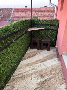 Zahrada ubytování Apartman Dunja Šid + 1 fotografie