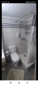 a bathroom with a toilet and a shower in it at Victoria Loutraki Лутраки apartment in Loutraki +15 photos