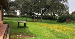 A garden outside Cortijo Zalamea