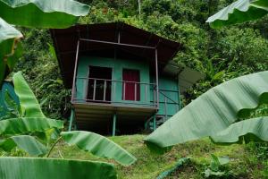 a green house with a red door in the forest at Rioverde Jungle Ecolodge in Puerto Jiménez