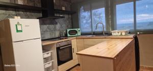 a kitchen with a white refrigerator and a sink at Las Traviesas CABAÑA in Candeleda