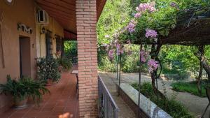 A garden outside Cortijo Zalamea
