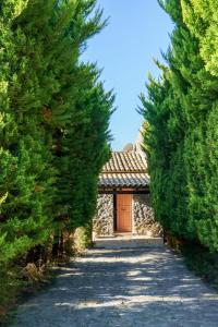 Fotografie z fotogalerie ubytování ANTIOPI VILLA v destinaci Ádhele