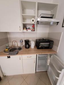 a kitchen with a counter with a microwave and a sink at Studio Chez Gregoire w Prowansji in Cabasse +4 photos