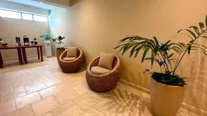 a lobby with three chairs and a potted plant at Hotel Caribbean by On vacation in San Andrés