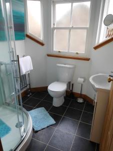 a bathroom with a toilet and a sink and a shower at Little Bethel Holiday Cottage in Coldstream