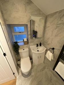 a bathroom with a toilet and a sink at Low Fellside in Kendal