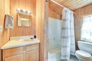 une salle de bain avec un lavabo, des toilettes et une douche dans l'établissement 3 Mi to Catskill Trail Stamford Cottage with Views, à Stamford 19 autres photos