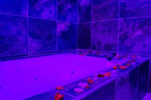 Fotografie z fotogalerie ubytování Hotel Elimar v destinaci Girardot