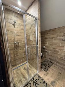 a shower with a glass door in a bathroom at Карпатський Замок in Rozluch