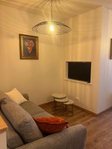 a living room with a couch and a flat screen tv at La maison bleue in Neufchâteau