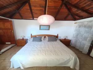 Postel nebo postele na pokoji v ubytování Spacious bungalow in El Paso for family