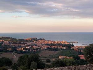 a town on a hill next to the ocean at Komfortables Haus mit Terrasse und Garten in Collioure