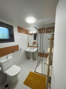 a bathroom with a toilet and a sink and a shower at Studio indépendant Boulouris in Saint-Raphaël