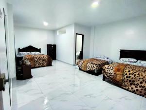 巴克里索莫雷诺港Cuarto en galápagos的客房设有三张床,铺有瓷砖地板。