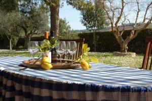 Gallery image of Villa Irma a Grottammare Relax con Piscina a 10 min dal Mare in Grottammare