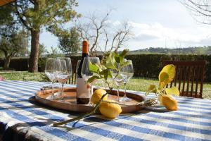 Gallery image of Villa Irma a Grottammare Relax con Piscina a 10 min dal Mare in Grottammare